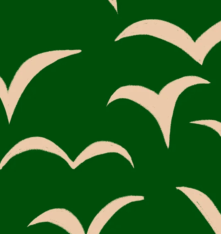 birds green