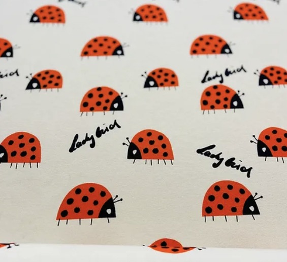 French terry - lady bug